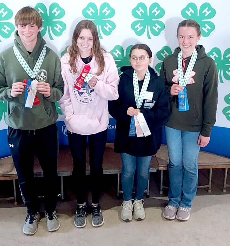 4-H program wins two titles for air rifle | News, Sports, Jobs ...